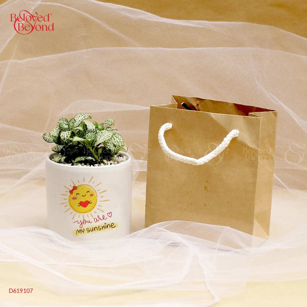 Quà Tặng Xanh Nhân- Dành Cho Nữ- Set 01